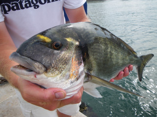 Man holding fish near water - lostfish free wallpaper