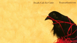 Black bird red string yellow - a black bird free wallpaper