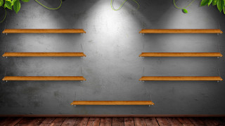 Shelves plants wall wooden floor - unreal engine free wallpaper for desktop