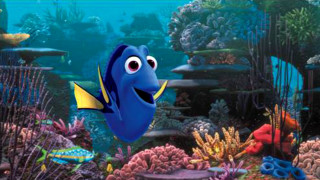 Blue fish yellow stripe coral - eugene montgomery free wallpaper