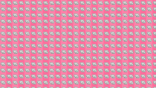 Pink white checkered pattern flower - pattern free wallpaper for desktop