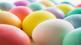 Colorful eggs row white background - a group of eggs free wallpaper