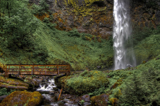 Waterfall bridge wooden moss rocks - moss free wallpaper