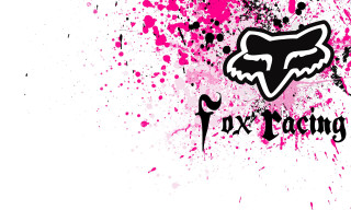 Pink black fox logo paint - adam rex free wallpaper for desktop