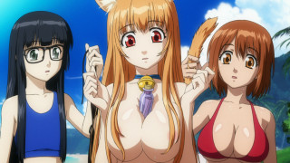 Anime girls bikini beach cat - bikinis free wallpaper