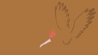 Bird long beak flying wings 2 - a red tail free wallpaper