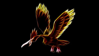 Bird flying air wings spread 10 - pokemon free wallpaper for desktop