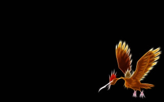 Bird flying wings spread beak 2 - don bluth free wallpaper
