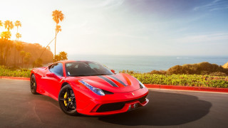 Red sports car ocean palm - a road next free wallpaper