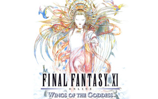 Woman longhair white dress bird - a long hair free wallpaper for desktop