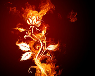 Fire flower swirls leaves black 4 - swirl free wallpaper for desktop