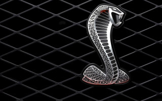 Snake black background red stripe - a red stripe free wallpaper