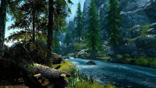 River forest rocks trees mountain 4 - cryengine free wallpaper for desktop