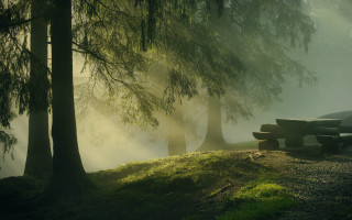 Bench hill forest fog sun - volumetric lighting free wallpaper