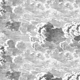 Plane clouds flemish baroque monochrome - flemish free wallpaper for tablet