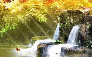 Waterfall butterfly forest trees leaves - a sunbeam free wallpaper