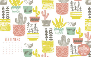 Calendar cactus succulents plants nature - a calendar free wallpaper for desktop