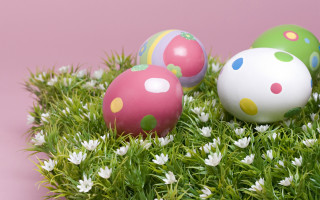 Decorated eggs daisies field pink - decorated free wallpaper