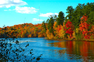 Lake trees fall colors blue 4 - cloud above free wallpaper