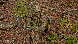 Camouflaged man woods frisbee tree 2 - ada hill walker free wallpaper