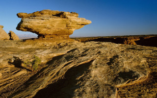 Rock formation desert blue sky - a small plant free wallpaper