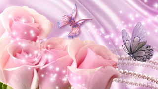 Pink rose butterfly purple background - a purple background free wallpaper