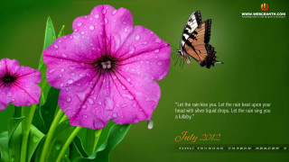 Butterfly flying over flower message - a message below free wallpaper