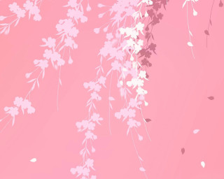 Pink background white flowers leaves 2 - white flower free wallpaper