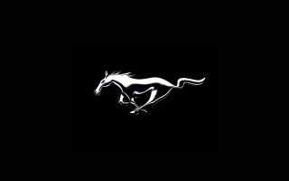 Horse running black background white - doug ohlson free wallpaper