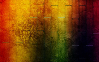 Rainbow colored wall tree background - a rainbow free wallpaper