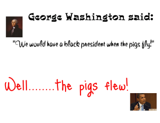 George washington pig president cartoon - we free wallpaper for desktop