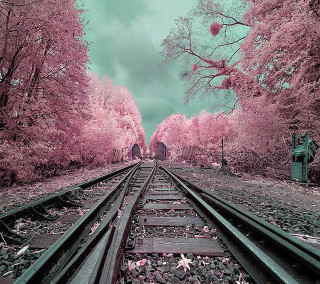 Train track trees building pink - free other wallpaper for tablet