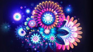 Colorful flower arrangement dark background 2 - many different color and shapes free wallpaper