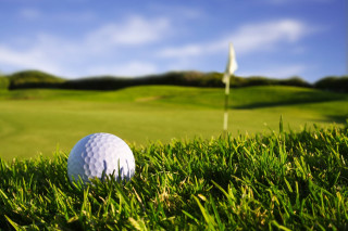Golf ball grass hole flag - mesh wire free wallpaper