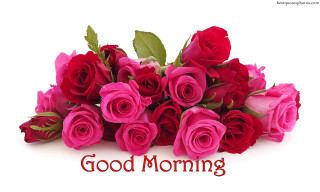 Red roses good morning bouquet - the word good morning free wallpaper
