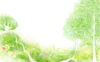 Green forest trees flowers path - a green forest free wallpaper