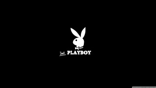 Playboy rabbit chest head back - a rabbit free wallpaper