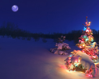 Christmas tree snow night full 3 - free winter wallpaper for desktop