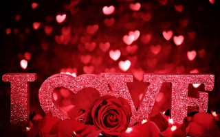 Red rose glitter love sign 3 - a red rose free wallpaper