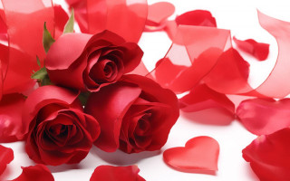 Red roses hearts white background 2 - rose free wallpaper