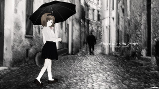 Woman walking street umbrella man - a street holding free wallpaper