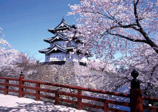 Tall white building hill tree - top of a hill next free wallpaper