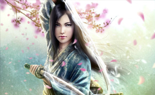 Woman sword painting pink flowers - chen chun free wallpaper