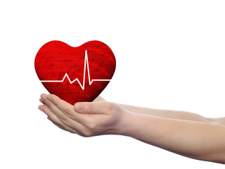 Hand red heart heartbeat white - simple free wallpaper