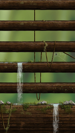 Wooden slat water running green - a close up free wallpaper for mobile
