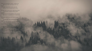 Forest fog monochrome poem girls - a poem free wallpaper