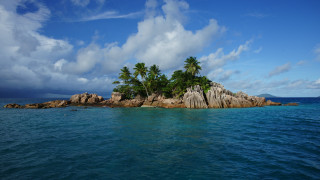 Small island palm trees ocean 14 - a small island free wallpaper