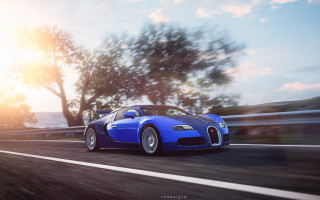 Blue sports car road tree - a sun free wallpaper
