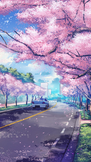 Car street pink flowers bench - a street free wallpaper for mobile