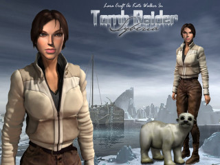 Polar bear snowy ship military - a ship in the background free wallpaper